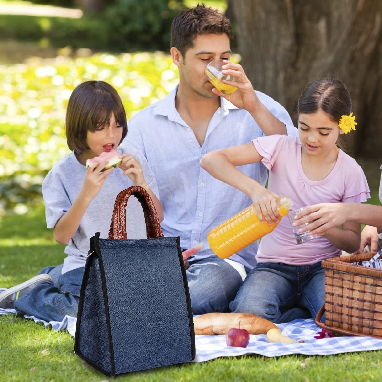 Blue Linen Textured Insulated Tiffin Bag TB07