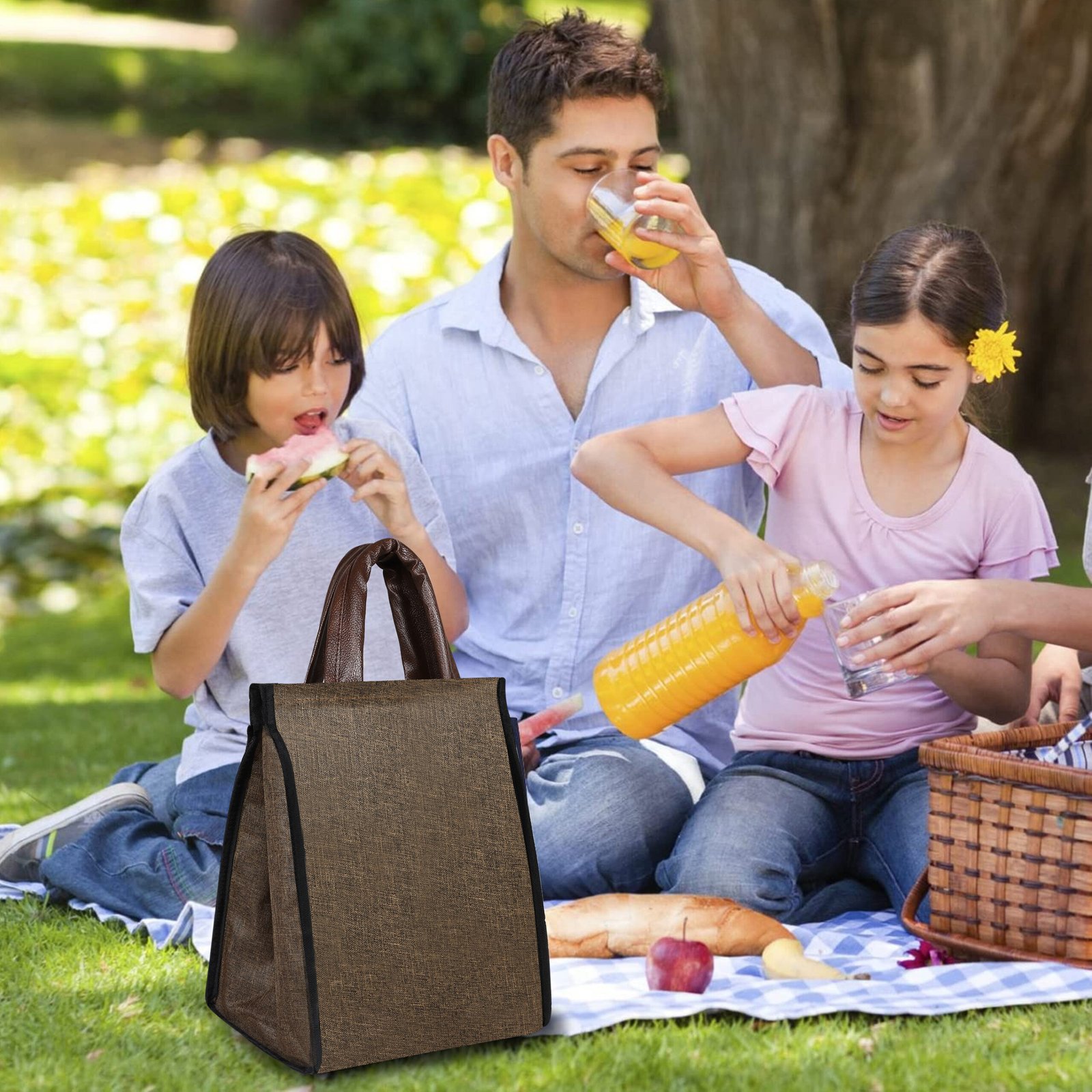 Khaki Linen Textured Insulated Tiffin Bag TB09