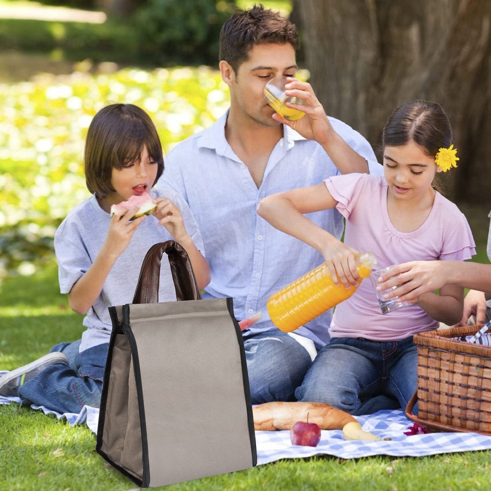 Mink Grey PVC Coated Matty Insulated Tiffin Bag TB12